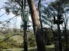 DSCN1377.JPG