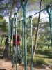 Indian forest bouc bel air 2004 014.jpg