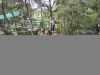 Indian forest bouc bel air 2004 016.jpg