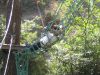 Indian forest bouc bel air 2004 026.jpg