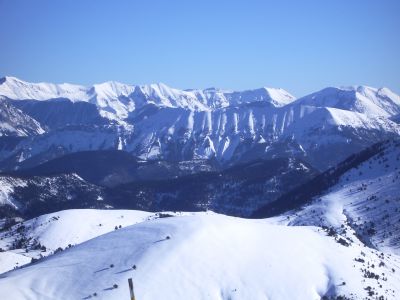 Klikni za ogled veje slike