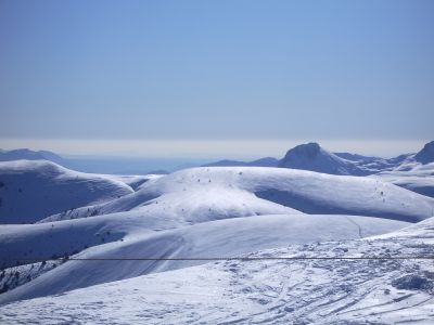Cliquez pour voir l'image en taille relle