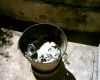 IMAG0013.JPG